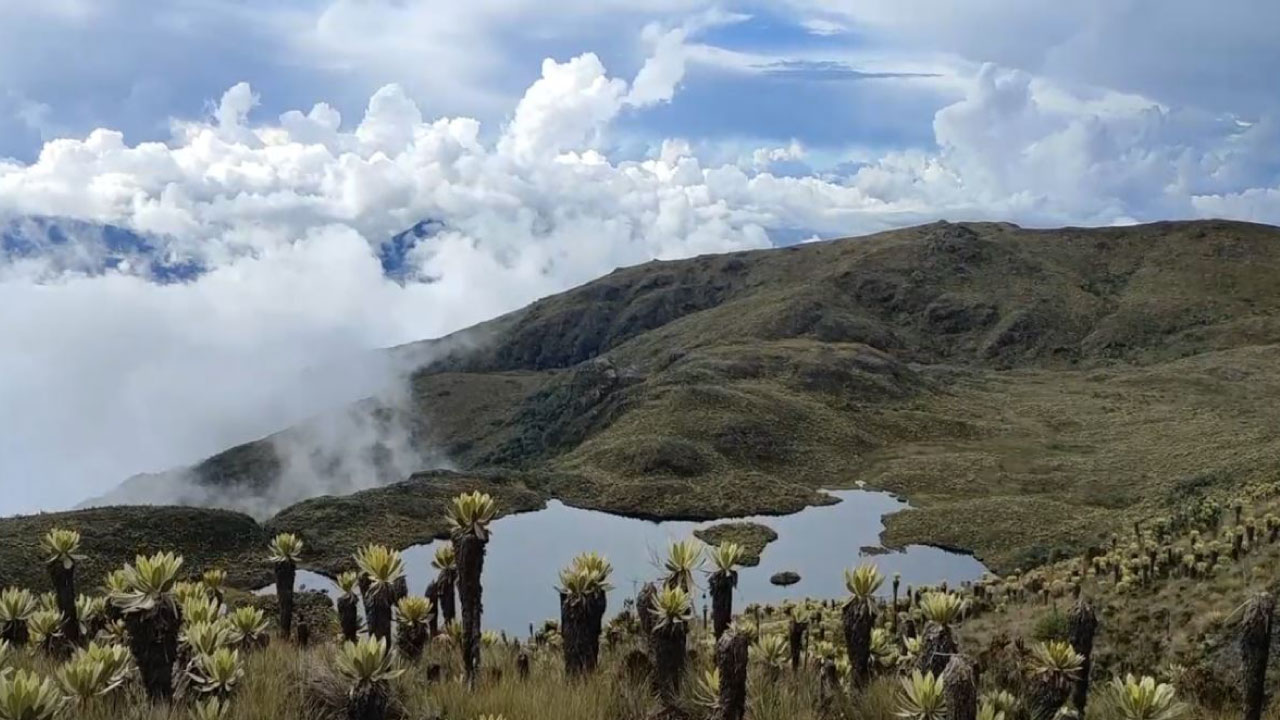 Cerrarán el ingreso turístico al Páramo del Sol en el Suroeste antioqueño ¿hasta cuándo?