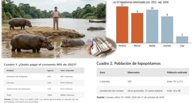 La costosa herencia de Pablo Escobar: .427 millones invertidos y apenas 20 hipopótamos esterilizados