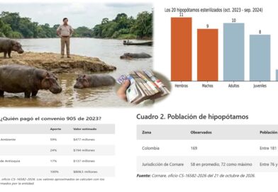 La costosa herencia de Pablo Escobar: .427 millones invertidos y apenas 20 hipopótamos esterilizados