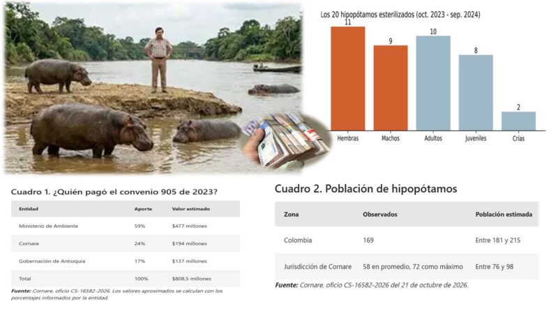 La costosa herencia de Pablo Escobar: .427 millones invertidos y apenas 20 hipopótamos esterilizados